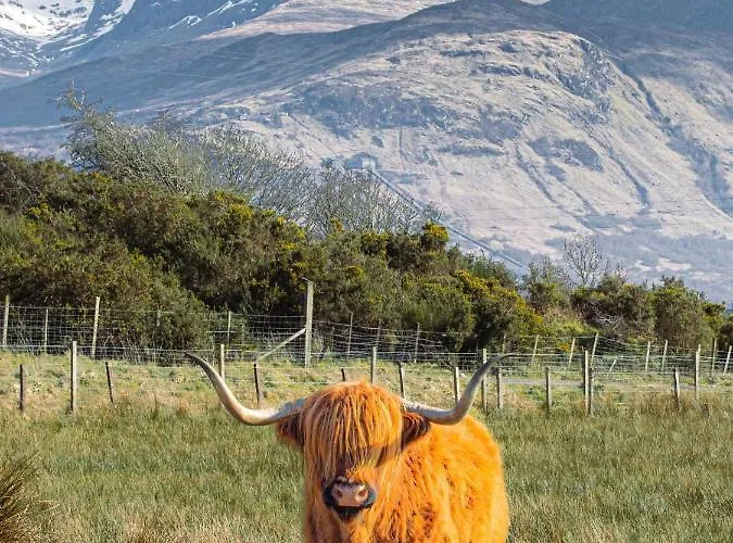 Ben Nevis Manor